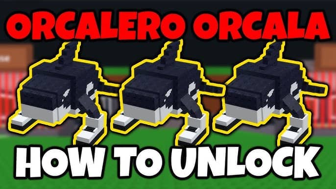 Orcalero Orcala Ritual